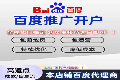 某企业通过百度推广服务费实现品牌飞跃